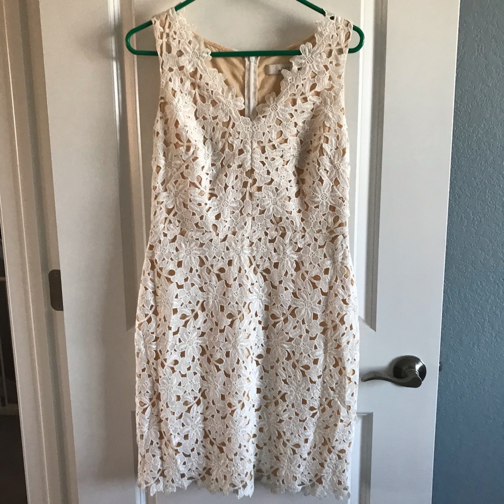 Loft lace dress